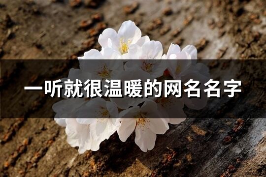 一听就很温暖的网名名字(共443个)