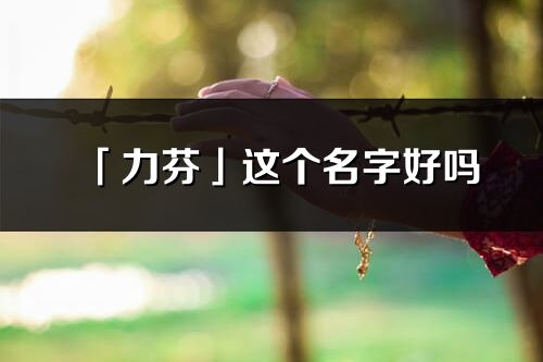 「力芬」这个名字好吗