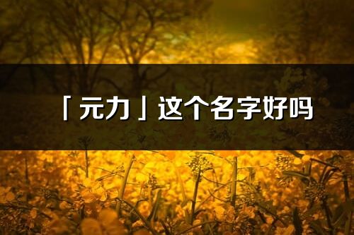 「元力」这个名字好吗