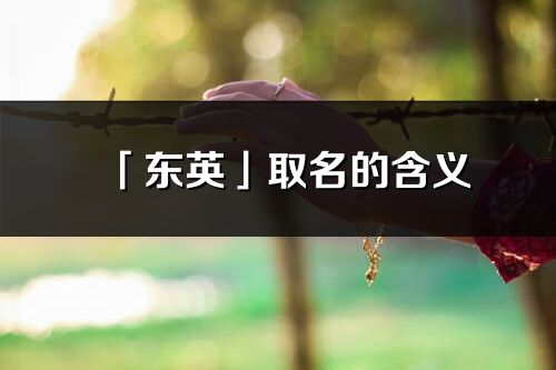 「东英」取名的含义