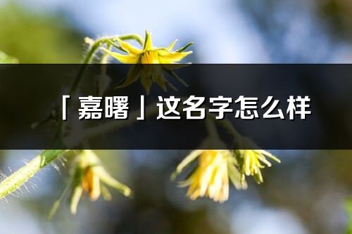 「嘉曙」这名字怎么样