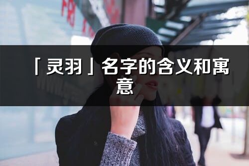 「灵羽」名字的含义和寓意