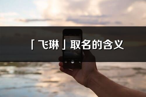 「飞琳」取名的含义