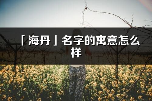 「海丹」名字的寓意怎么样