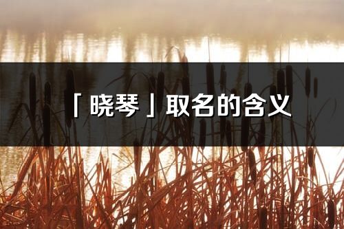 「晓琴」取名的含义