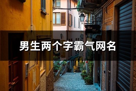 男生两个字霸气网名(共147个)