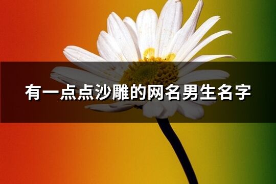 有一点点沙雕的网名男生名字(752个)