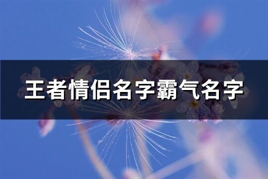 王者情侣名字霸气名字(233个)