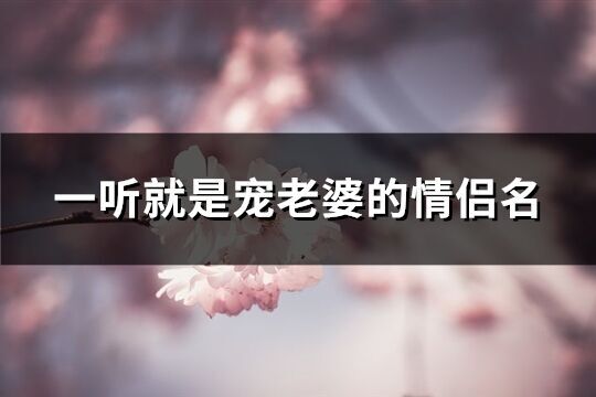 一听就是宠老婆的情侣名(优选63个)