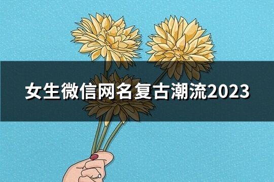 女生微信网名复古潮流2023(255个)