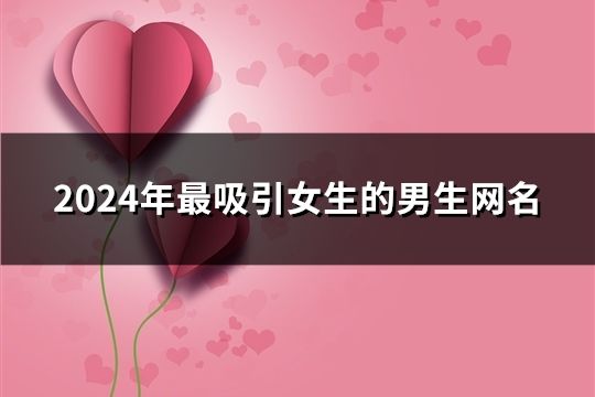 2024年最吸引女生的男生网名(94个)