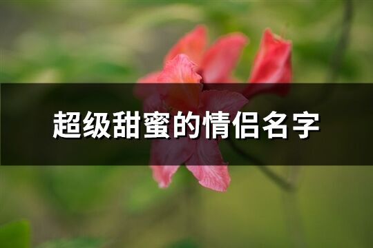 超级甜蜜的情侣名字(精选296个)