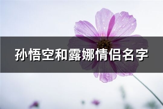 孙悟空和露娜情侣名字(精选84个)