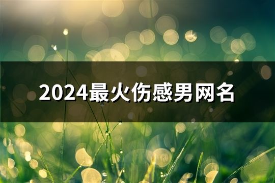 2024最火伤感男网名(精选857个)