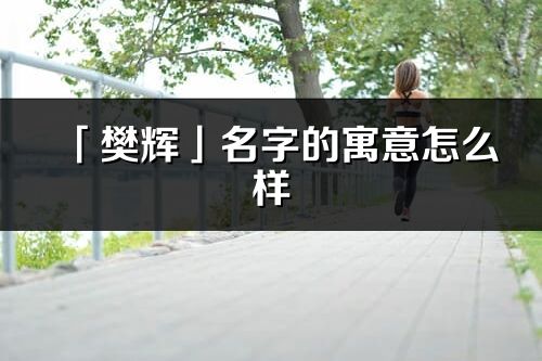 「樊辉」名字的寓意怎么样