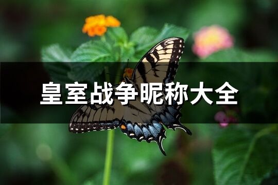 皇室战争昵称大全(共279个)