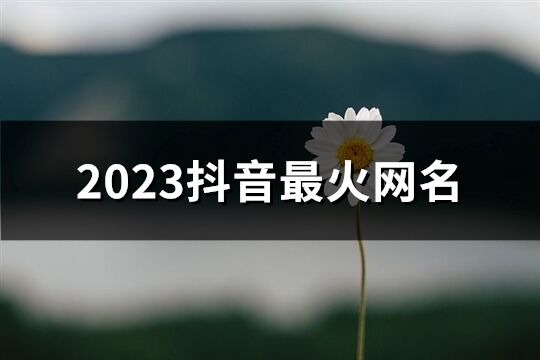 2023抖音最火网名(共614个)