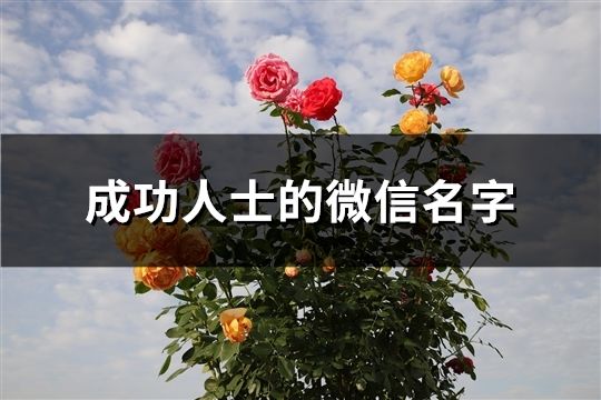 成功人士的微信名字(103个)