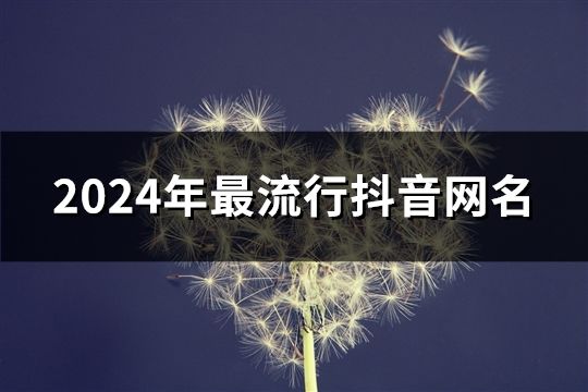 2024年最流行抖音网名(精选123个)