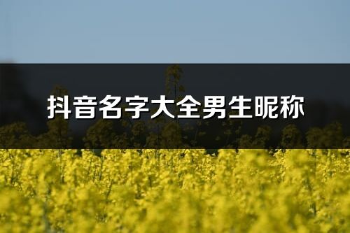 抖音名字大全男生昵称(优选438个)