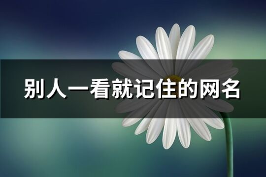 别人一看就记住的网名(精选229个)