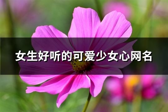 女生好听的可爱少女心网名(精选606个)