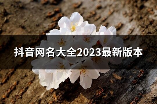 抖音网名大全2023最新版本(共707个)