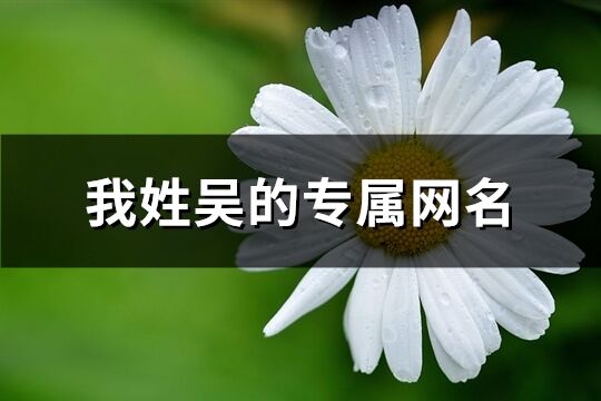 我姓吴的专属网名(共75个)