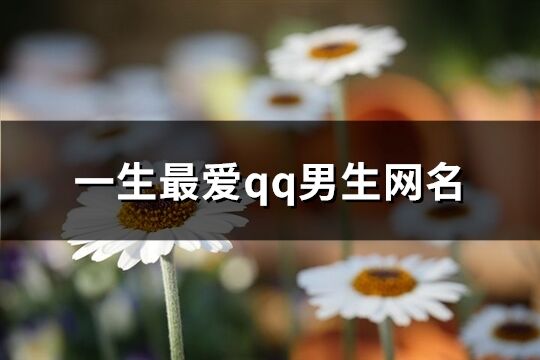 一生最爱qq男生网名(共489个)