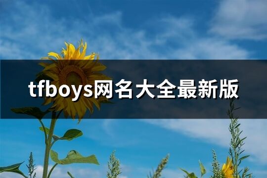 tfboys网名大全最新版(共65个)