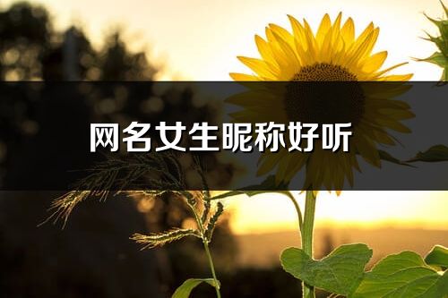 网名女生昵称好听 (优选381个)