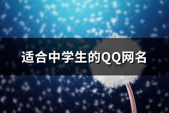 适合中学生的QQ网名(181个)