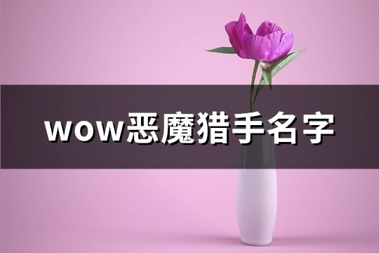 wow恶魔猎手名字(482个)