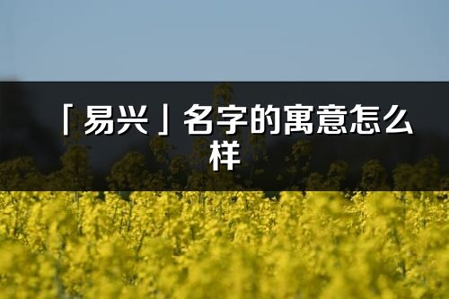 「易兴」名字的寓意怎么样