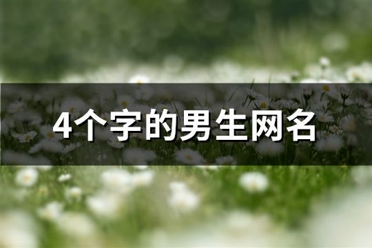 4个字的男生网名(共98个)