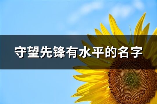 守望先锋有水平的名字(共284个)