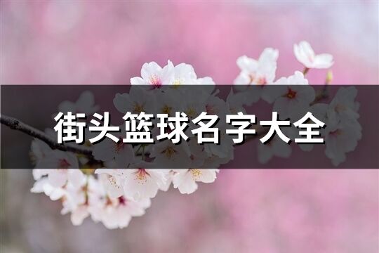 街头篮球名字大全(共273个)