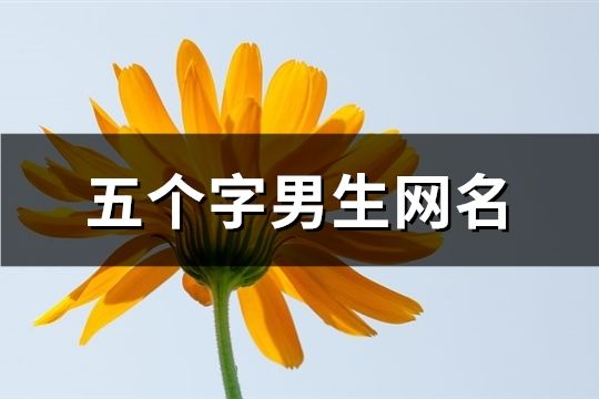 五个字男生网名(共165个)