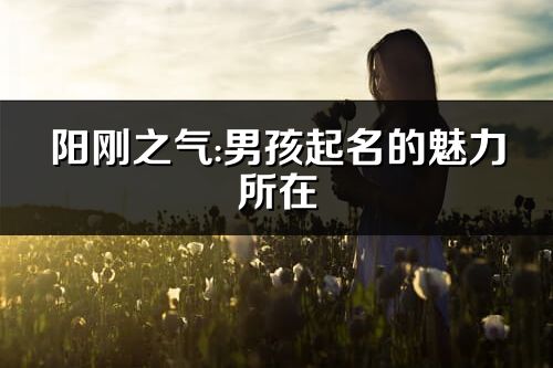 阳刚之气:男孩起名魅力所在