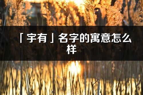 「宇有」名字的寓意怎么样