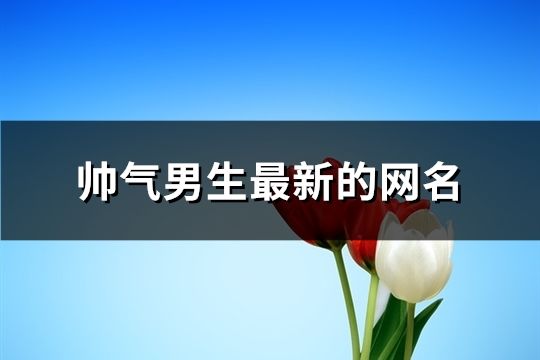 帅气男生最新的网名(共190个)