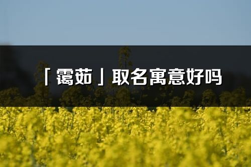 「霭茹」取名寓意好吗