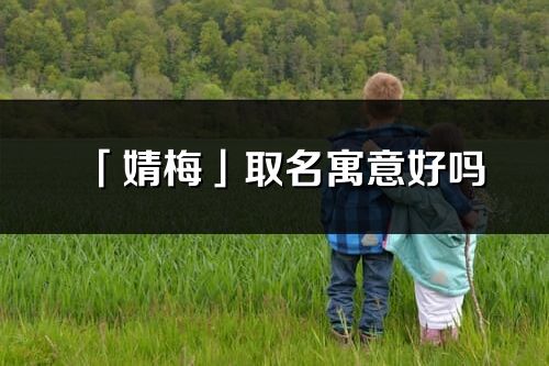 「婧梅」取名寓意好吗