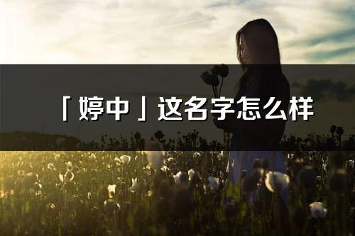 「婷中」这名字怎么样