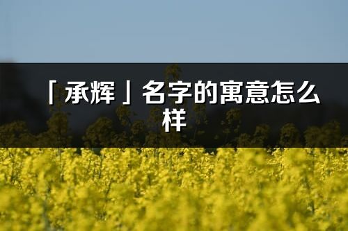 「承辉」名字的寓意怎么样