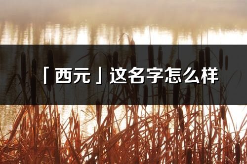 「西元」这名字怎么样