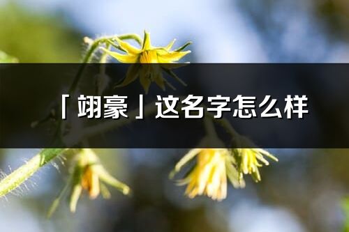 「翊豪」这名字怎么样