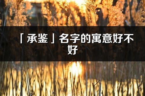 「承鉴」名字的寓意好不好