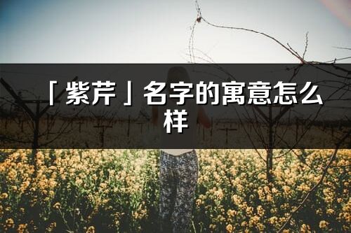 「紫芹」名字的寓意怎么样