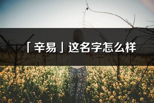 「辛易」这名字怎么样